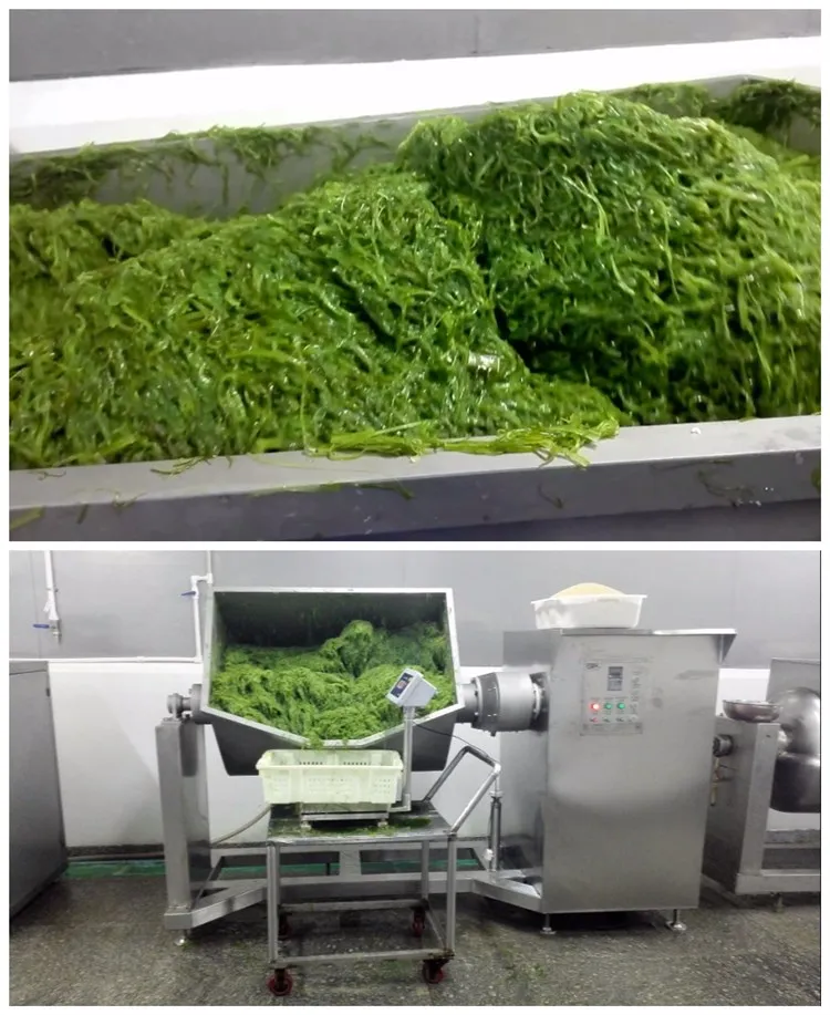 Ce Certification Horiziontal Double Mixer Machine for Dry Powder