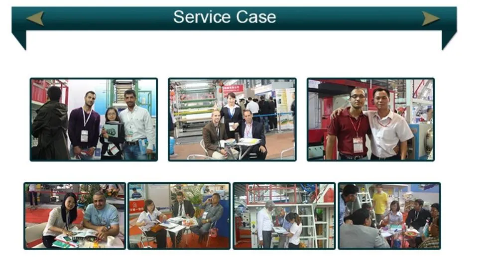 Fast Mixing Speed Mixer with Hook Tank Agitator for Plastic Material