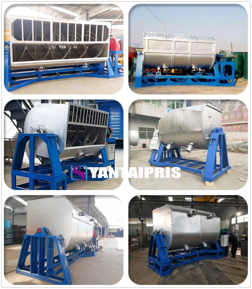 Horizontal Double Ribbon Mixer for Making Quartz Sand Paints Texture Paints Stone Effect Sand in Water Paints