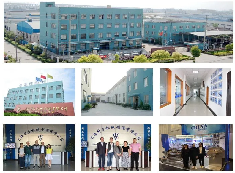 Powder Ingredient Mixer (LHY)