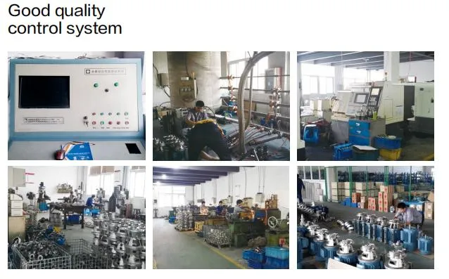 Single Layer Stir Tank Stainless Steel Mixing Tank with Inverter Geared Motor Agitate